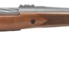 Mossberg | Patriot Rifle | 350 Legend | Stainless Cerakote