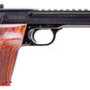 Smith and Wesson | 41 | 22 LR | Blue