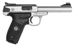 Smith and Wesson | SW22 Victory Target | 22 LR | Satin Stainless Steel