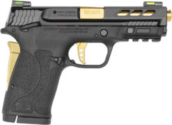 Smith and Wesson | M&P380 Shield EZ PC | 380 ACP | Armornite