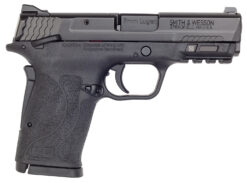 Smith and Wesson | M&P9 M2.0 Shield EZ | 9mm | Armornite