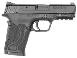 Smith and Wesson | M&P9 M2.0 Shield EZ | 9mm | Armornite