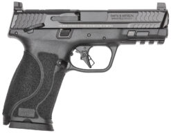 Smith and Wesson | M&P10mm M2.0 | 10mm | Black Armornite