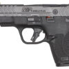 Smith and Wesson | M&P9 Shield Plus Carry Comp | 9mm | Gray Armornite
