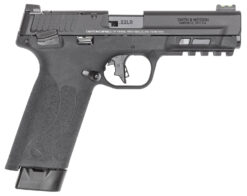 Smith and Wesson | M&P 22X | 22 LR | Armornite