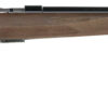 Browning | T-Bolt Sporter | 22 Magnum | Polished Blued