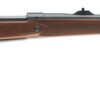 Winchester | Model 70 Safari EXP | 375 H&H | Blued