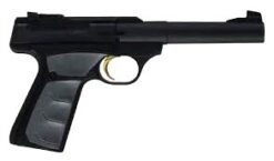 Browning | Buck Mark Camper | 22 LR | Matte Blue