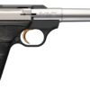 Browning | Buck Mark Camper SR | 22 LR | Matte Stainless/ Black Frame