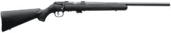 Savage Arms | Mark II FV | 22 LR | Satin Blued