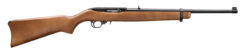 Ruger | 10/22 Carbine | 22 LR | Satin Black