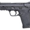 Smith and Wesson | M&P380 Shield EZ | 380 ACP | Armornite
