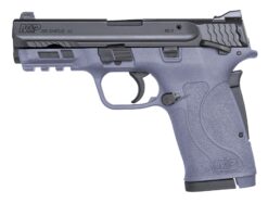 Smith and Wesson | M&P380 Shield EZ | 380 ACP | Black