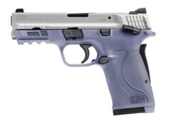 Smith and Wesson | M&P380 Shield EZ | 380 ACP | Satin Aluminum Cerakote