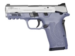 Smith and Wesson | M&P9 M2.0 Shield EZ | 9mm | Satin Aluminum Cerakote