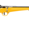 Savage Arms | Rascal | 22 LR | Black Satin