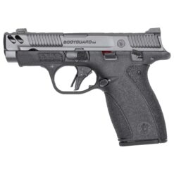 Smith and Wesson | M&P Bodyguard 380 2.0 CC | 380 ACP | Gray Armornite