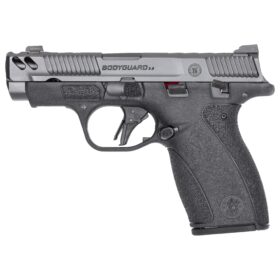 Smith and Wesson | M&P Bodyguard 380 2.0 CC | 380 ACP | Gray Armornite