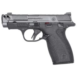 Smith and Wesson | M&P Bodyguard 380 2.0 CC | 380 ACP | Gray Armornite