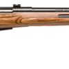 Savage Arms | 25 Lightwght Varmint Thumbhole | 204 Ruger | Matte Black