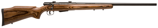 Savage Arms | 25 Lightweight Varmint | 204 Ruger | Blue