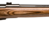 Savage Arms | 25 Lightweight Varminter | 17 Hornet | Matte Black