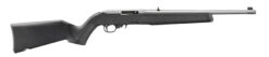 Ruger | 10/22 Carbine | 22 LR | Satin Stainless Steel