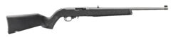 Ruger | 10/22 Carbine | 22 LR | Satin Stainless Steel