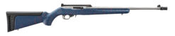 Ruger | 10/22 Carbine | 22 LR | Satin Stainless