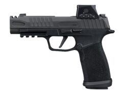 SIG SAUER | P365 Fuse | 9mm | Nitron