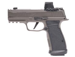 SIG SAUER | P365 AXG Legion | 9mm | Legion Gray