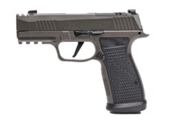 SIG SAUER | P365 AXG Legion | 9mm | Legion Gray