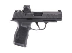 SIG SAUER OFF-DUTY | P365 XL ROMEO-X | 9mm | Nitron