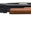 Winchester | SXP Field | 20 Gauge | Blued