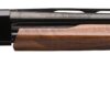Winchester | SXP High Grade Field | 12 Gauge | Gloss Blued