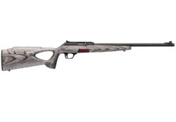 Winchester | Wildcat | 22 LR | Matte Blued