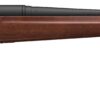 Winchester | XPR Sporter | 350 Legend | Blued