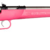 Keystone Sporting Arms | Crickett | 22 LR | Stainless