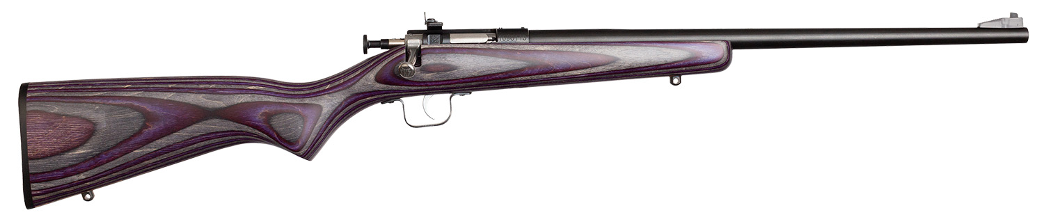 Keystone Sporting Arms | Crickett | 22 LR | Blue
