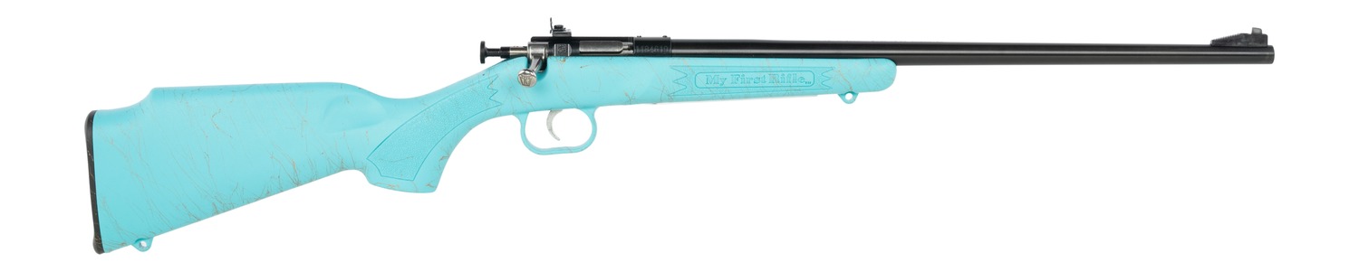Keystone Sporting Arms | Crickett | 22 LR | Blued