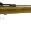 Keystone Sporting Arms | Crickett | 22 LR | Stainless
