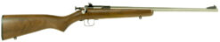 Keystone Sporting Arms | Crickett | 22 LR | Stainless