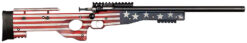 Keystone Sporting Arms | Crickett Precision Rifle | 22 LR | Blue