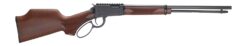 Henry Repeating Arms | H1 Bandit | 22 Magnum | Black