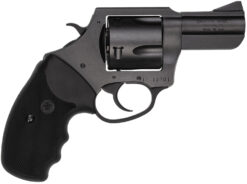 Charter Arms | Pitbull | 45 ACP | Nitride