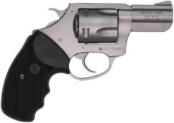 Charter Arms | Pitbull | 40 S&W | Stainless Steel