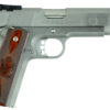 Springfield Armory | Target Stainless | 45 ACP | Stainless
