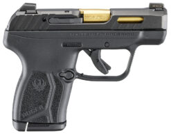 Ruger | LCP MAX | 380 ACP | Black Nitride