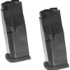 Ruger | LCP MAX Magazine Value Pack | 380 ACP