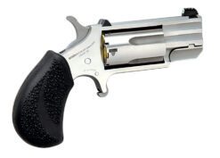 North American Arms | Pug | 22 Magnum | Stainless